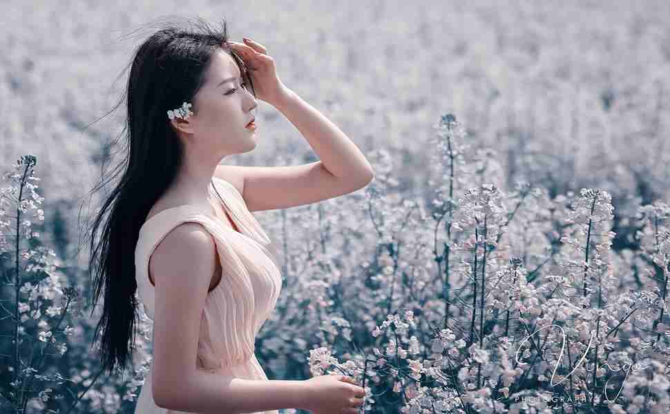 b站有刷赞的群吗